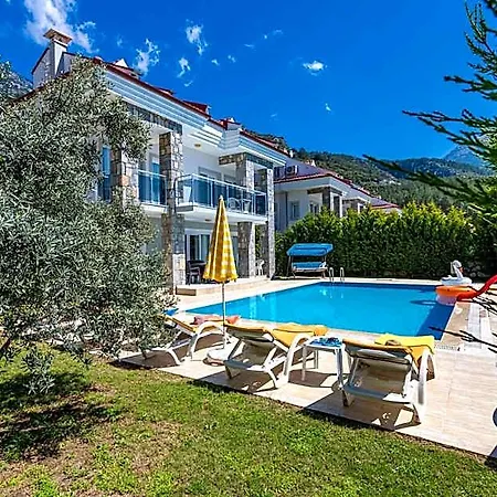 Yasam Park Rena Villalari Otel